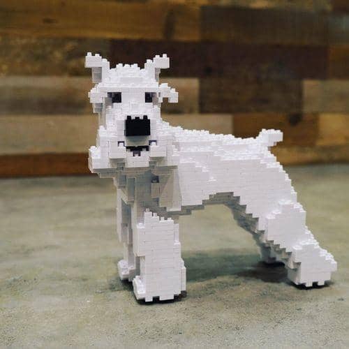 Schnauzer