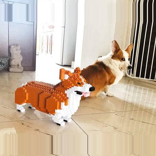 Welse Corgi