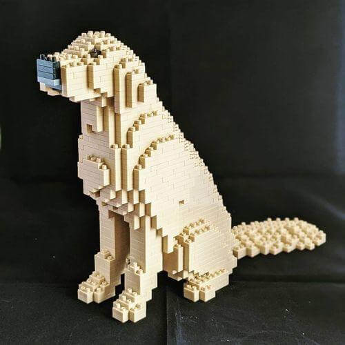 Golden retriever