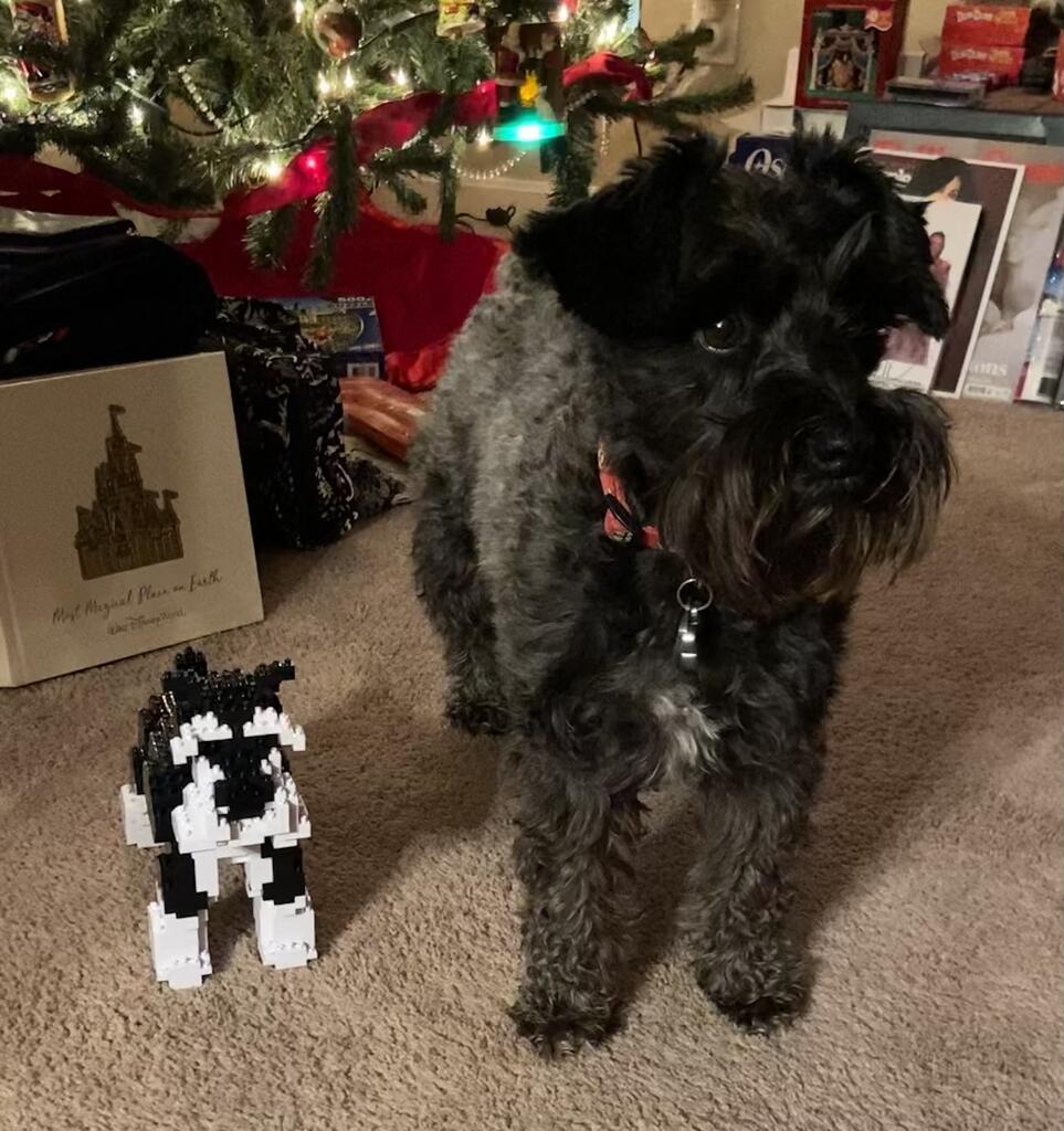 Schnauzer