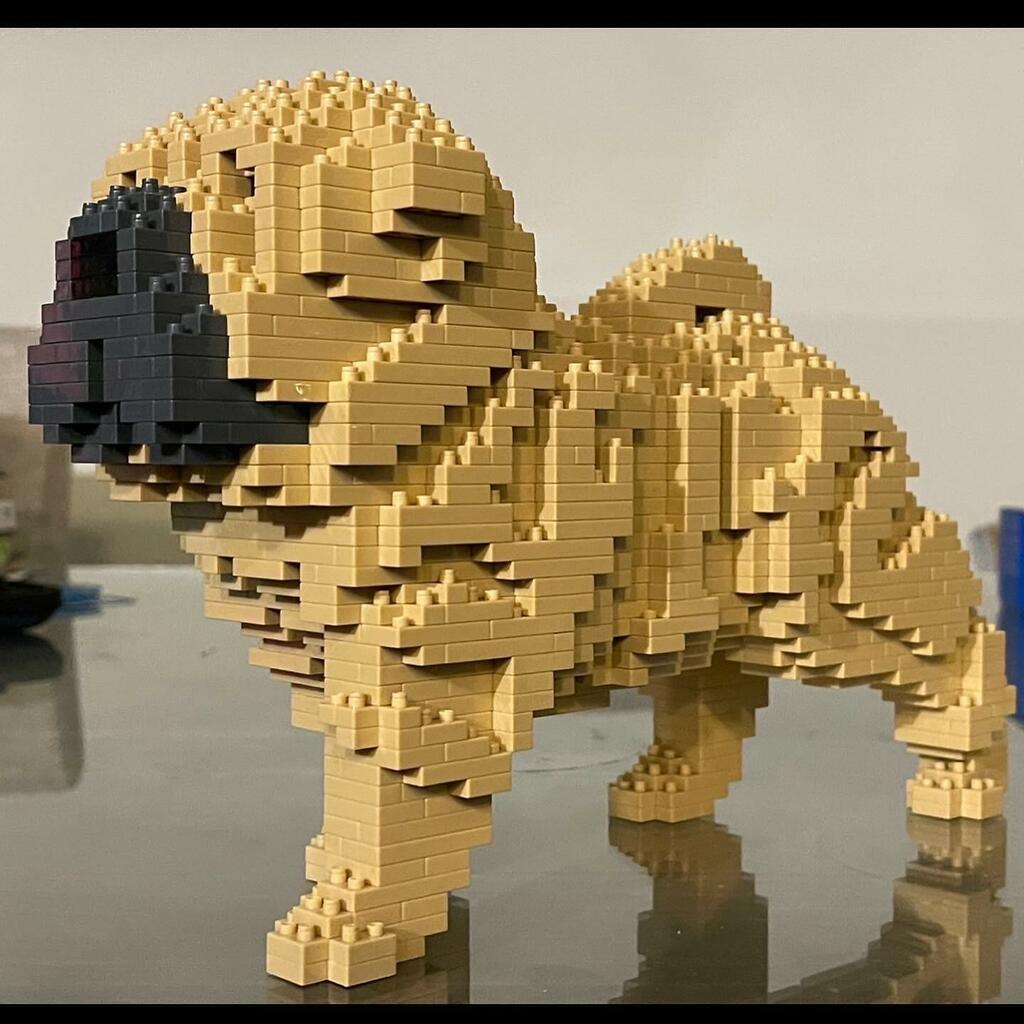 Shar Pei