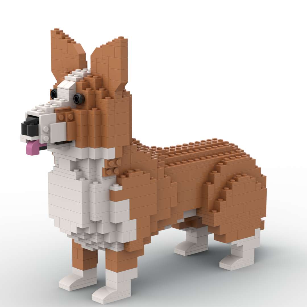 Welse Corgi