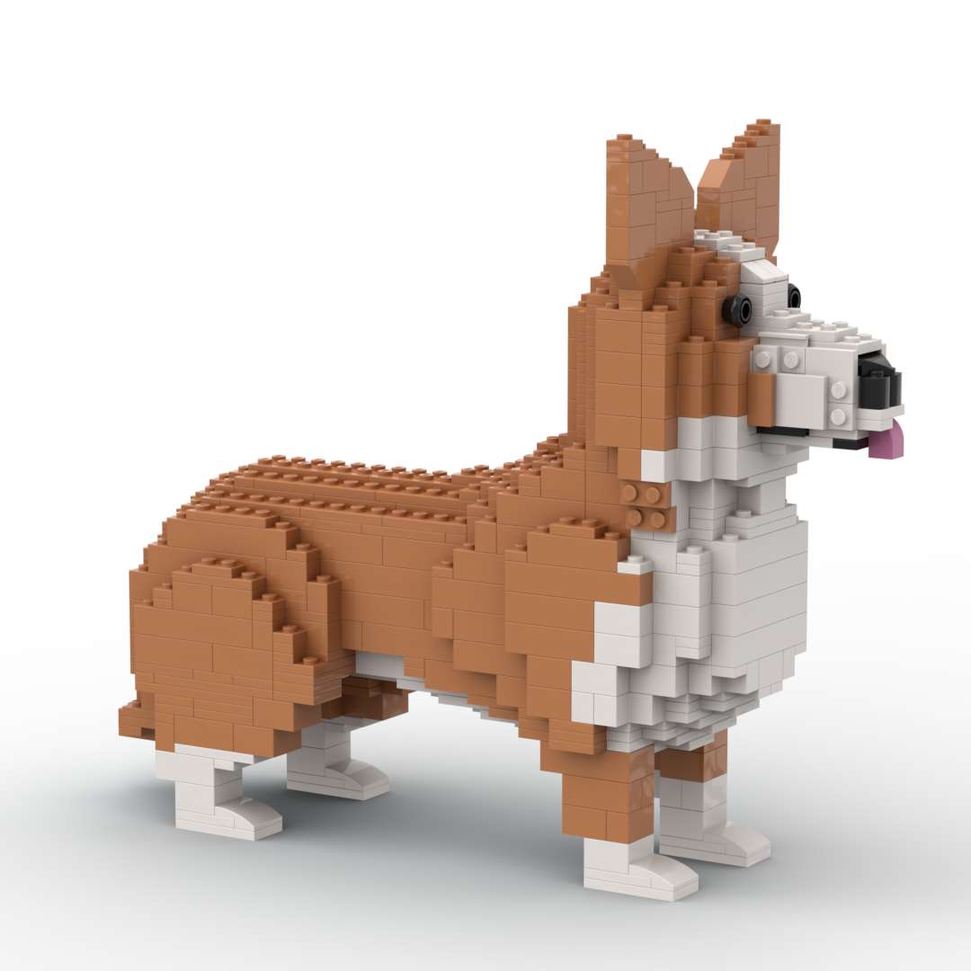 Welse Corgi