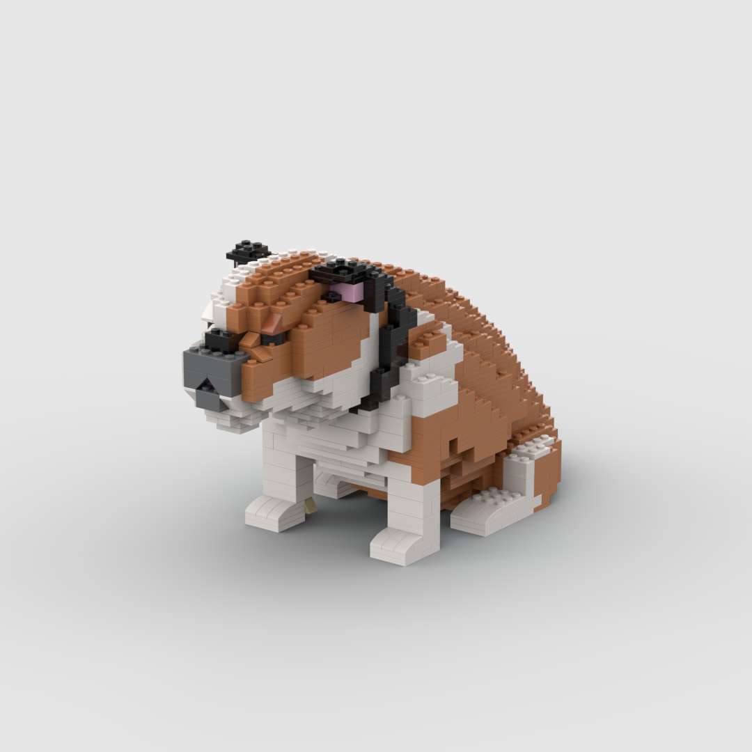 Oude Engelse Bulldog