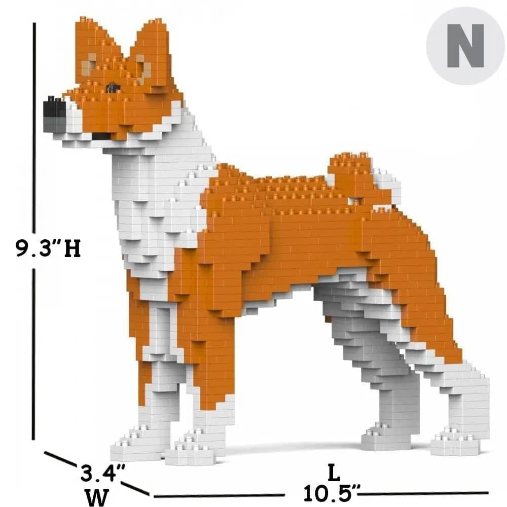 Basenji