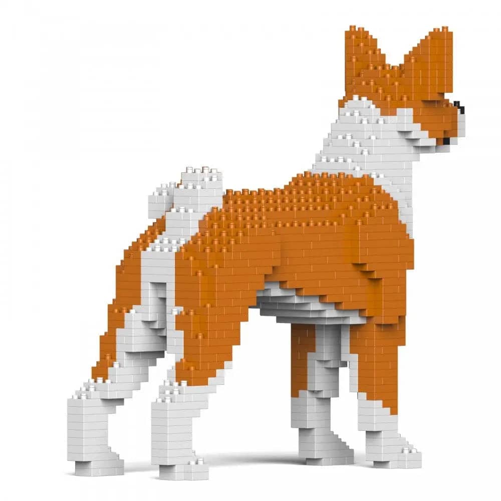 Basenji