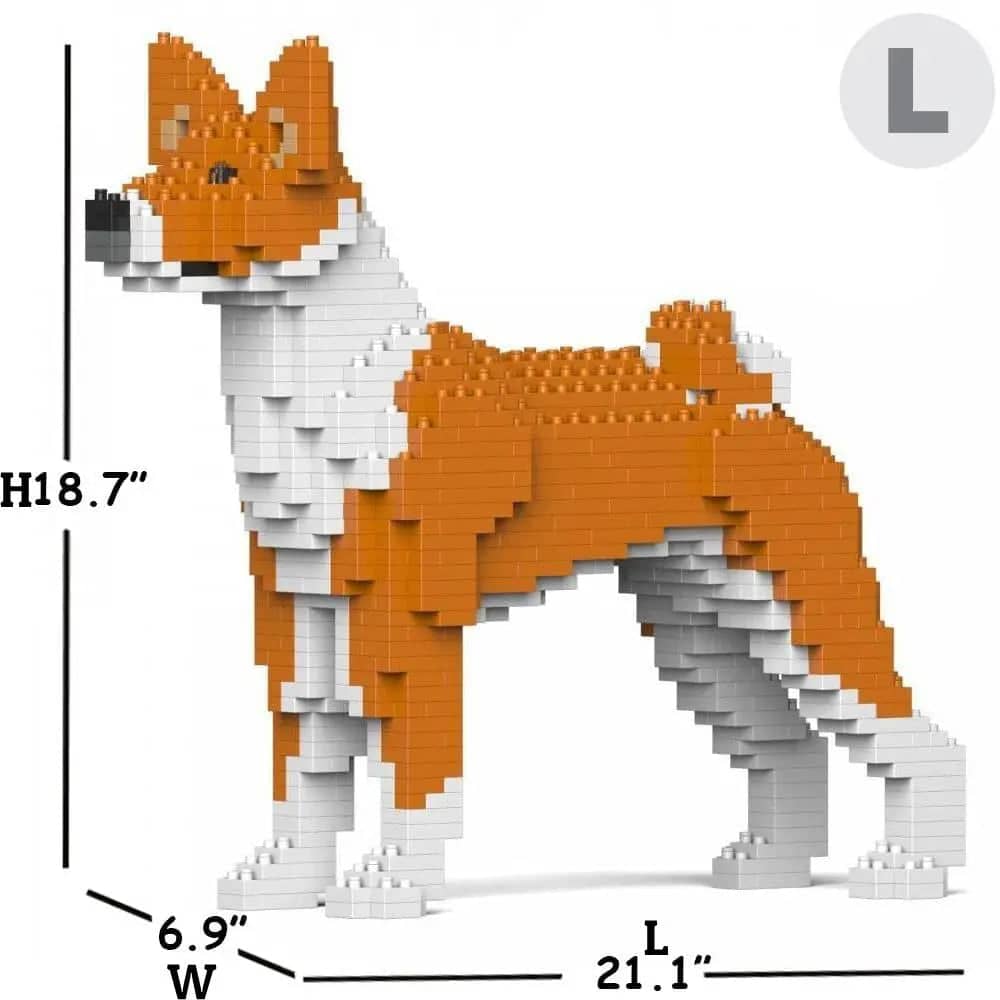 Basenji