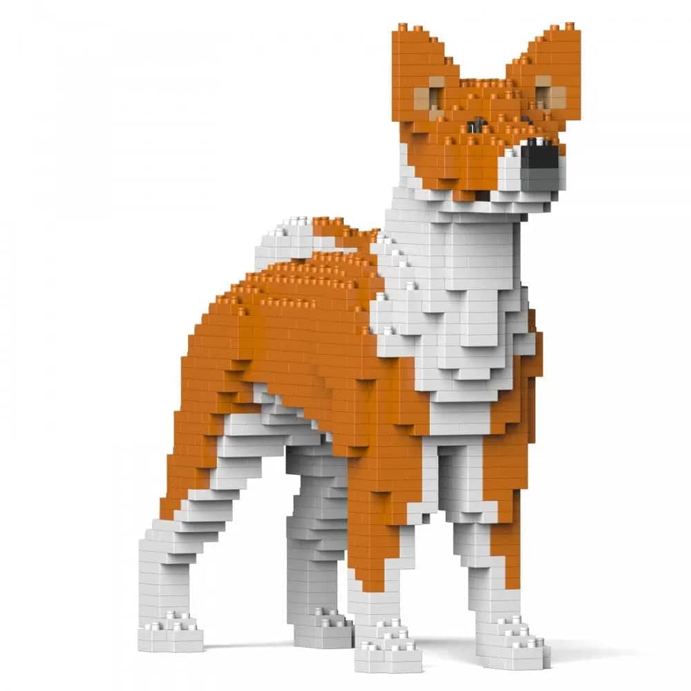 Basenji