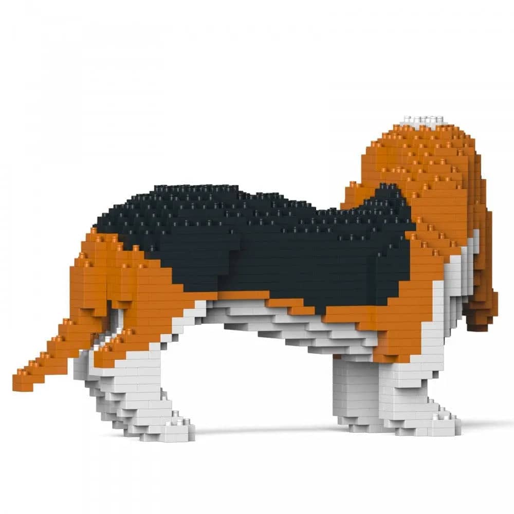 Basset hond