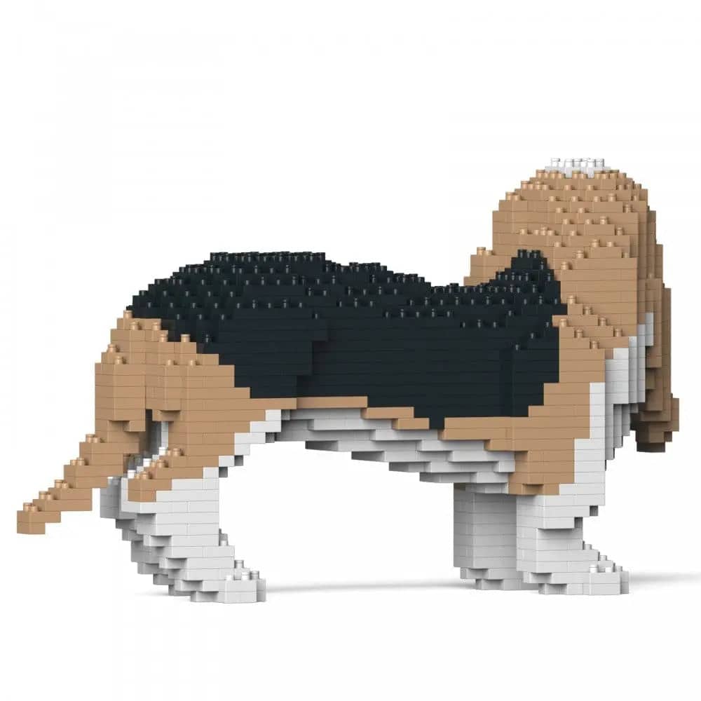 Basset hond