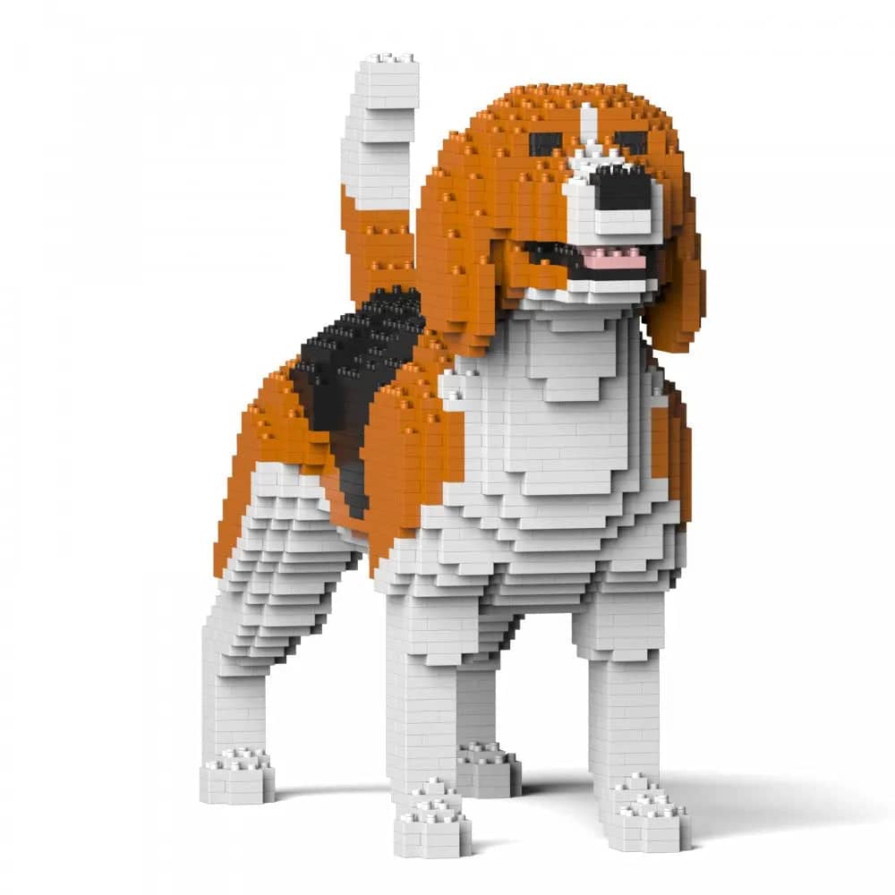 Beagle