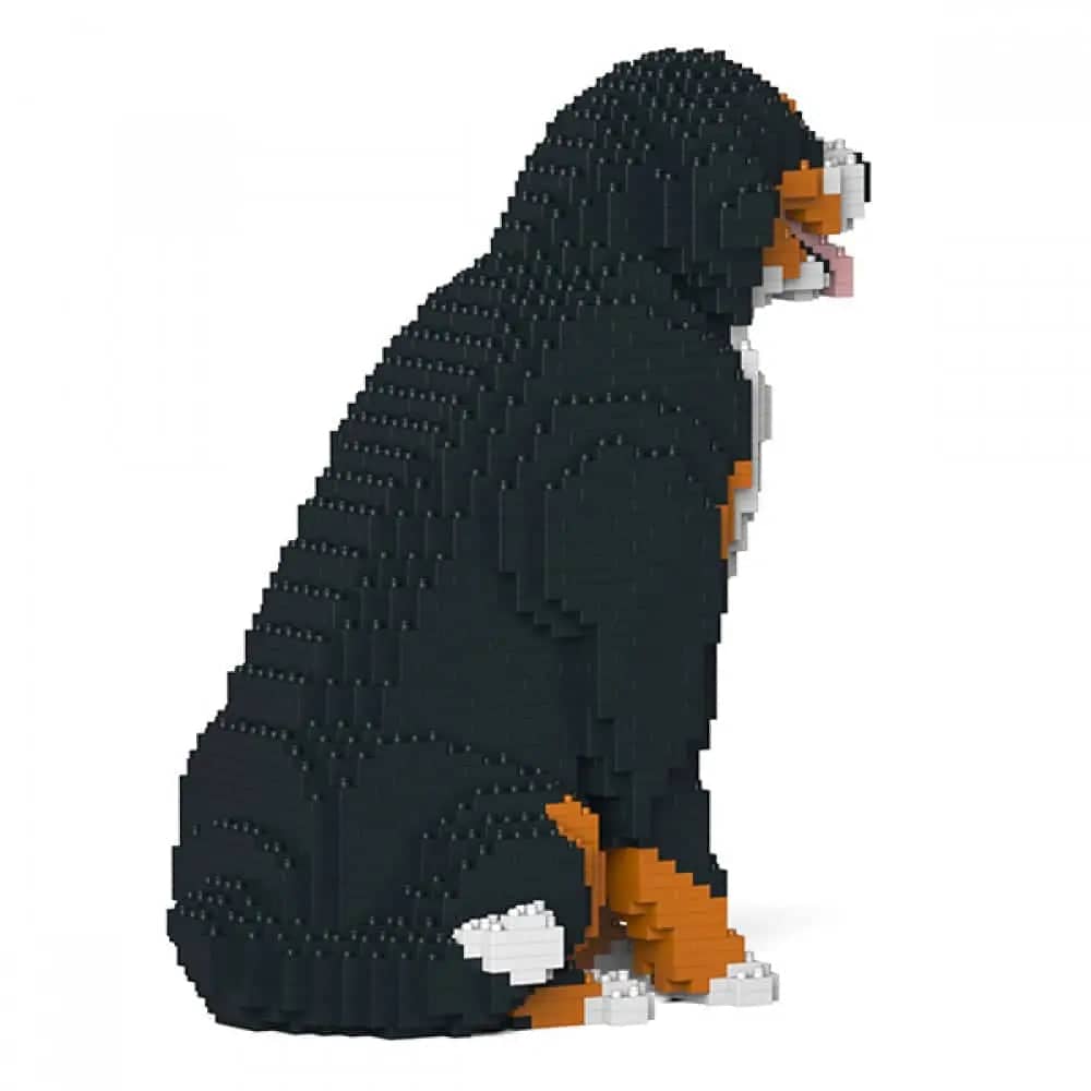 Berner Sennenhond