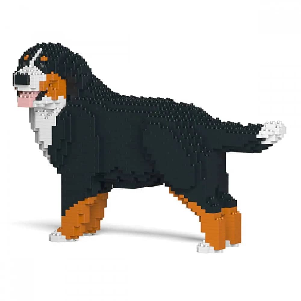 Berner Sennenhond