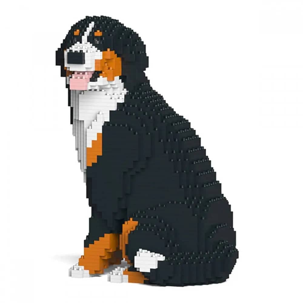 Berner Sennenhond