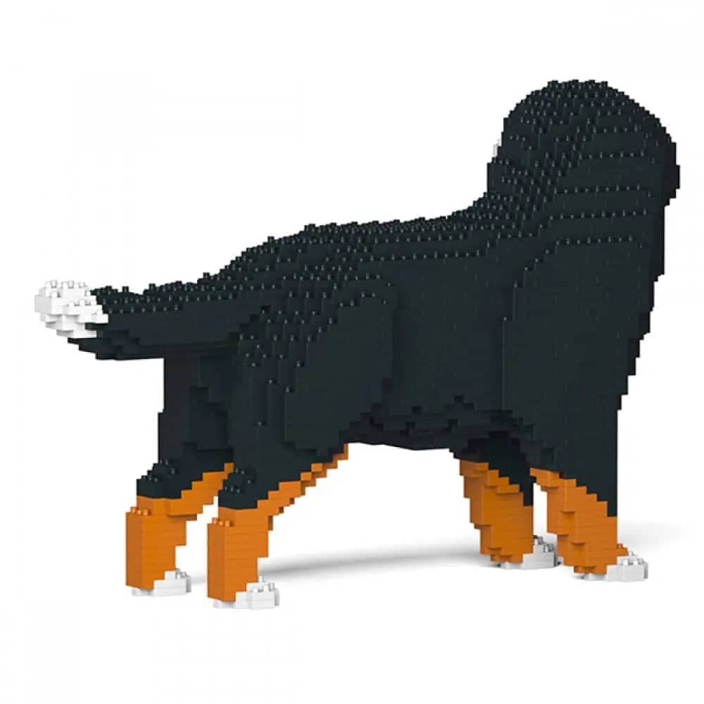 Berner Sennenhond