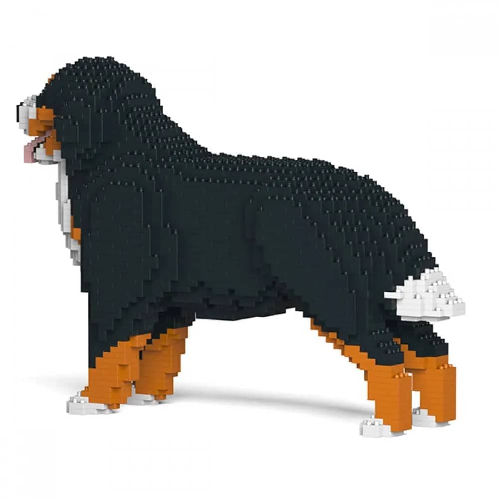 Berner Sennenhond