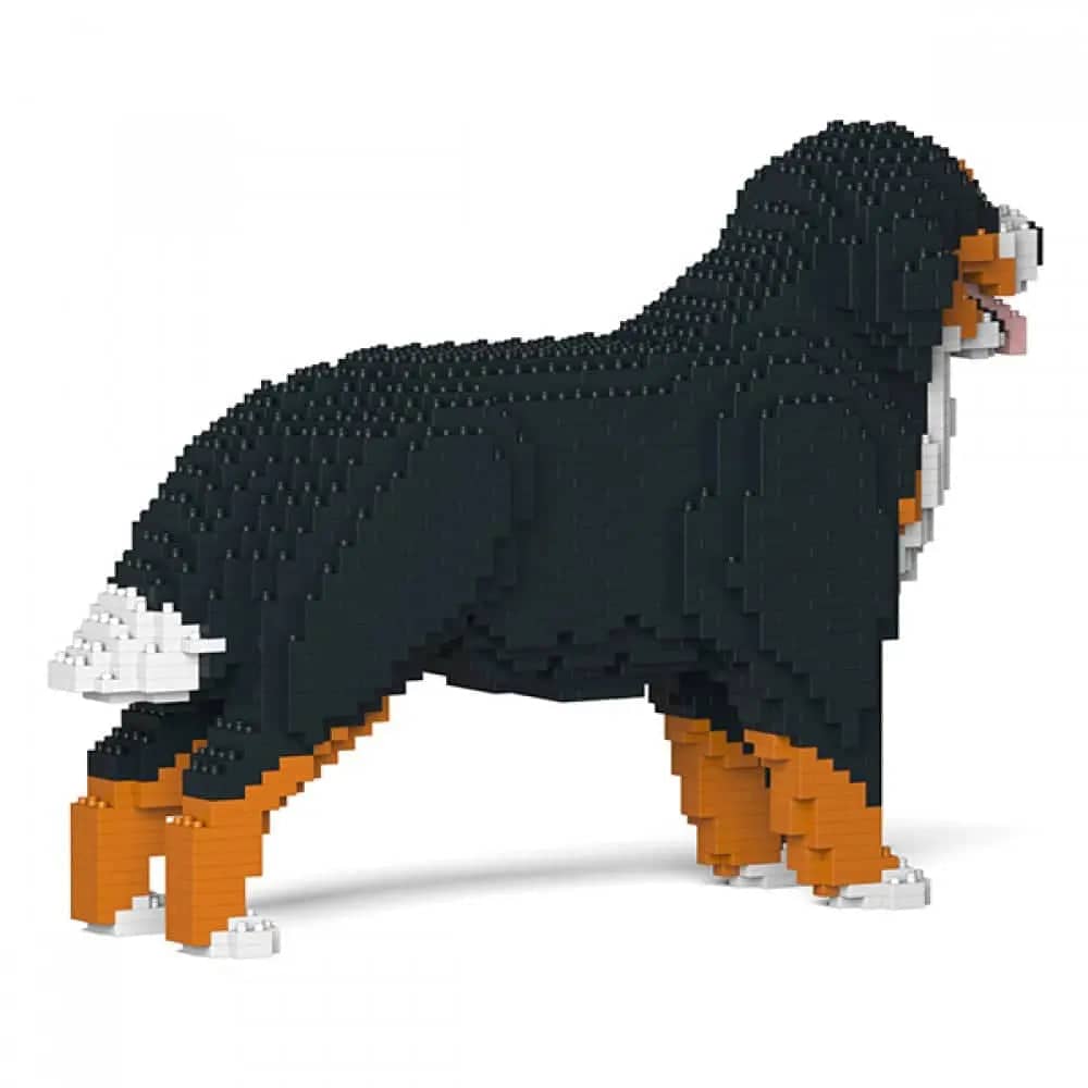 Berner Sennenhond