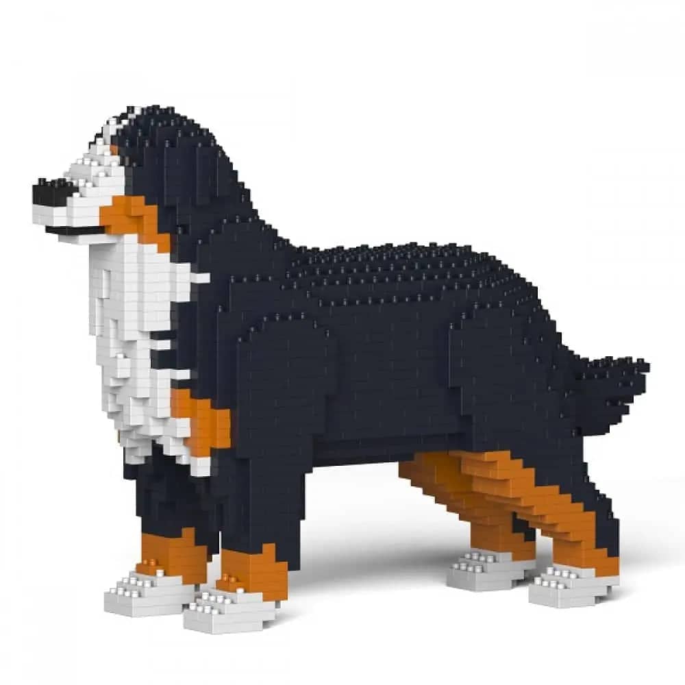 Berner Sennenhond