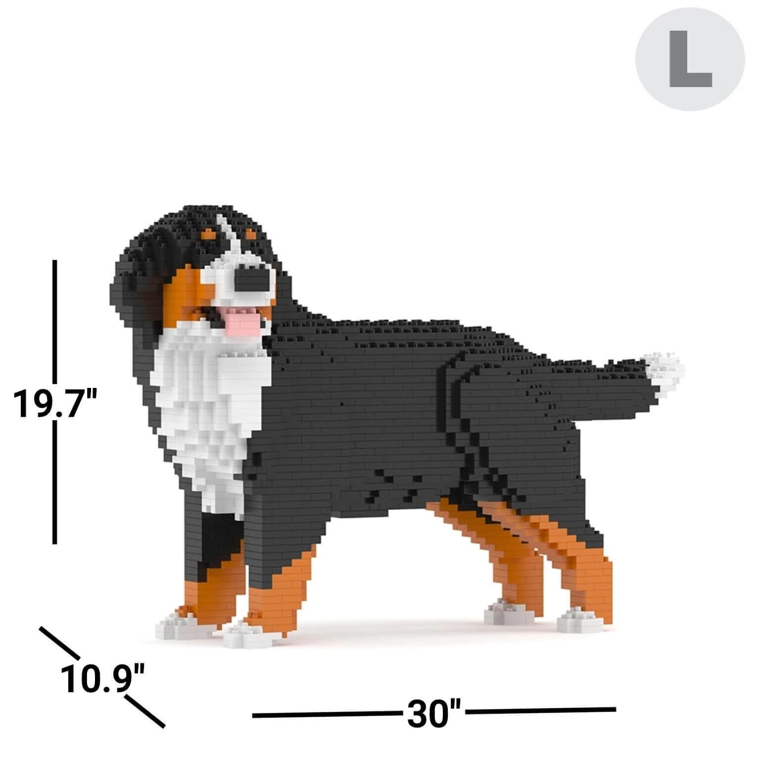 Berner Sennenhond