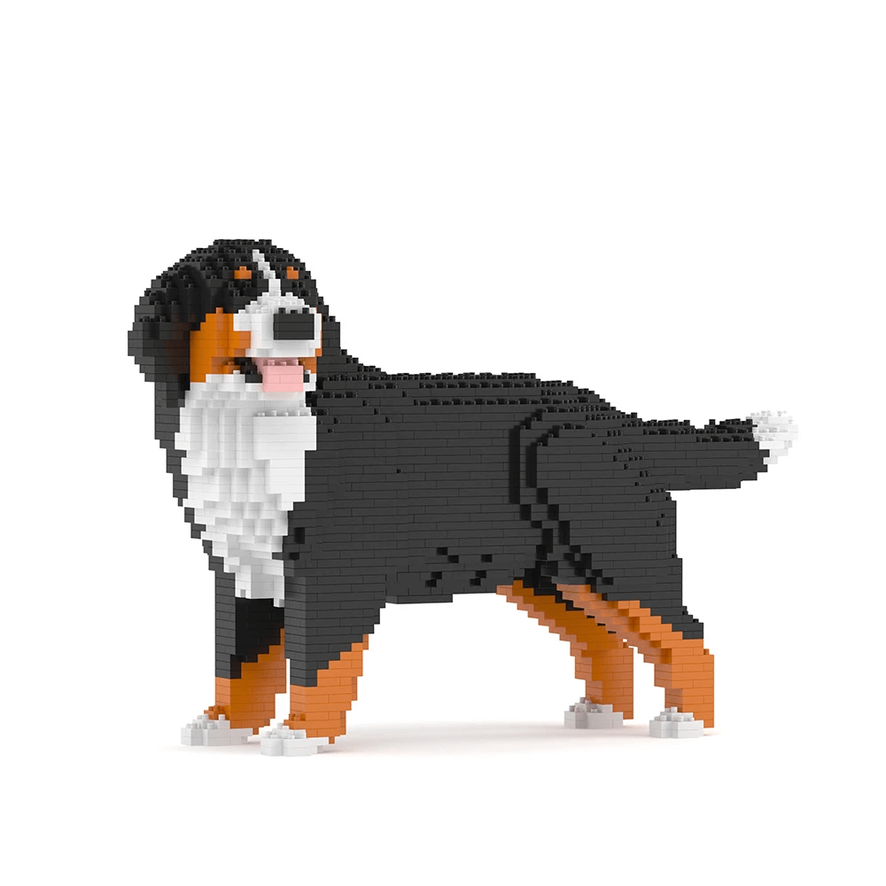 Berner Sennenhond