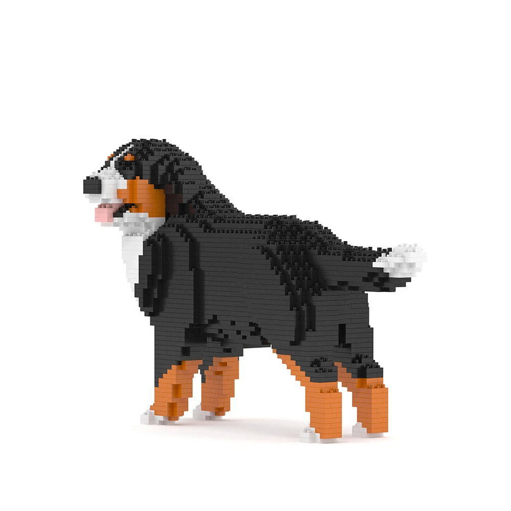 Berner Sennenhond