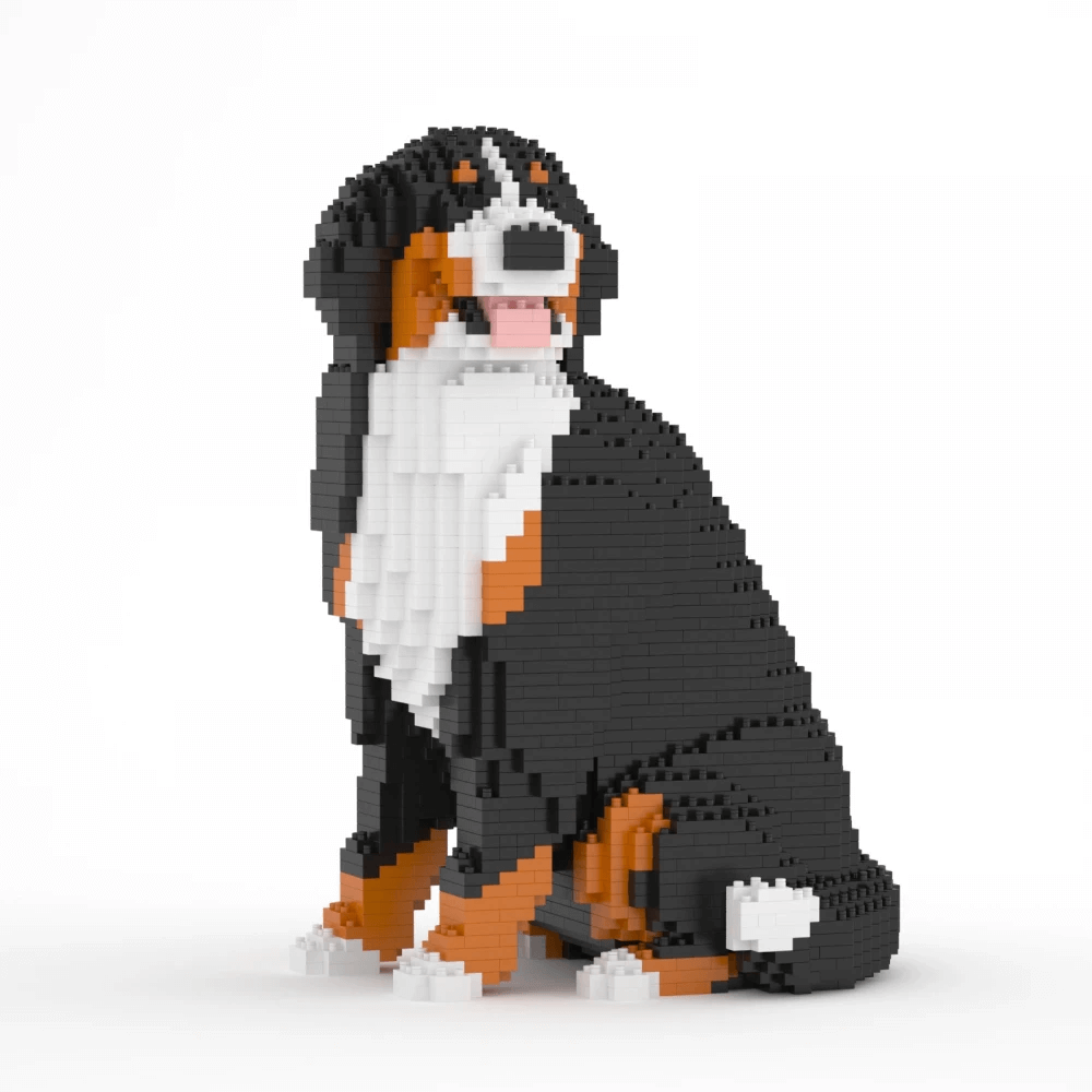 Berner Sennenhond