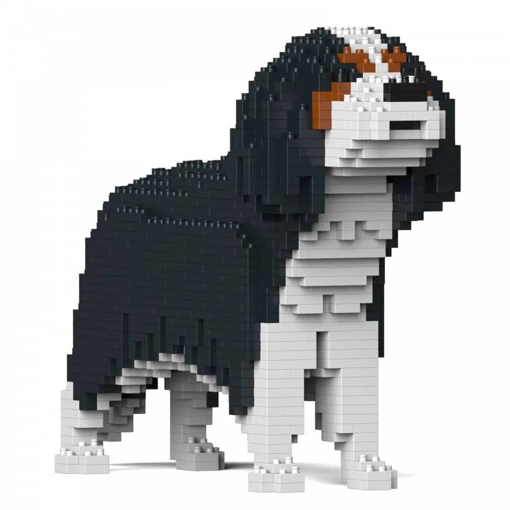 Cavalier King Charles-spaniël