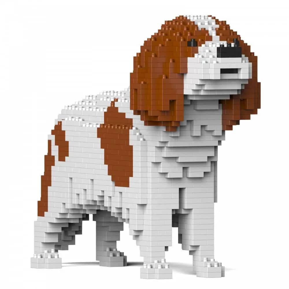 Cavalier King Charles-spaniël