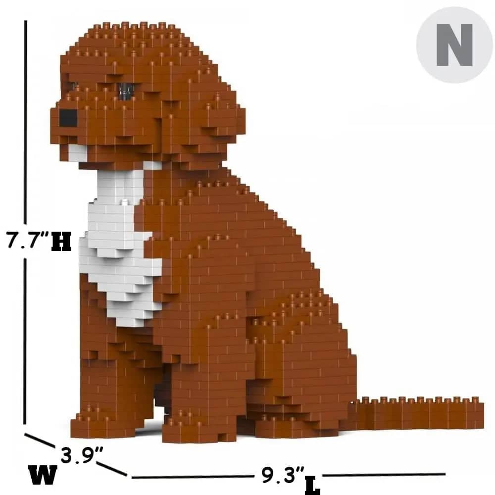 Cockapoo