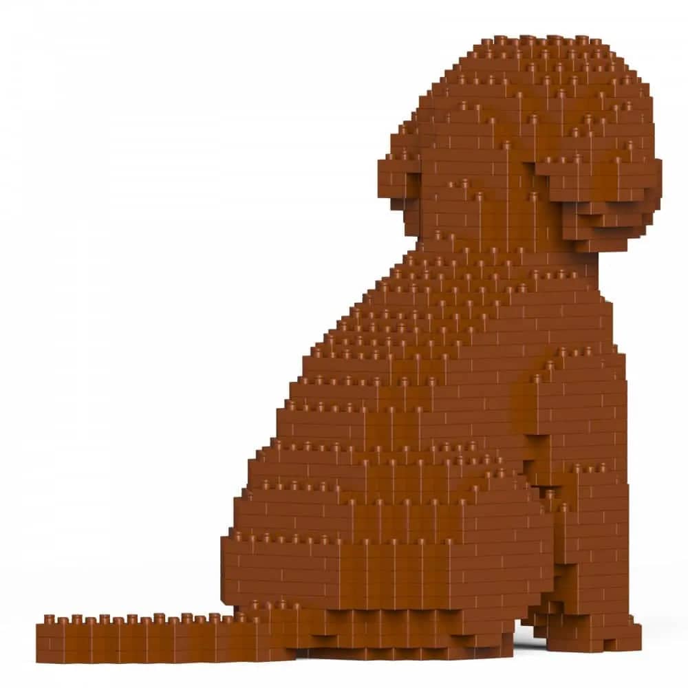 Cockapoo