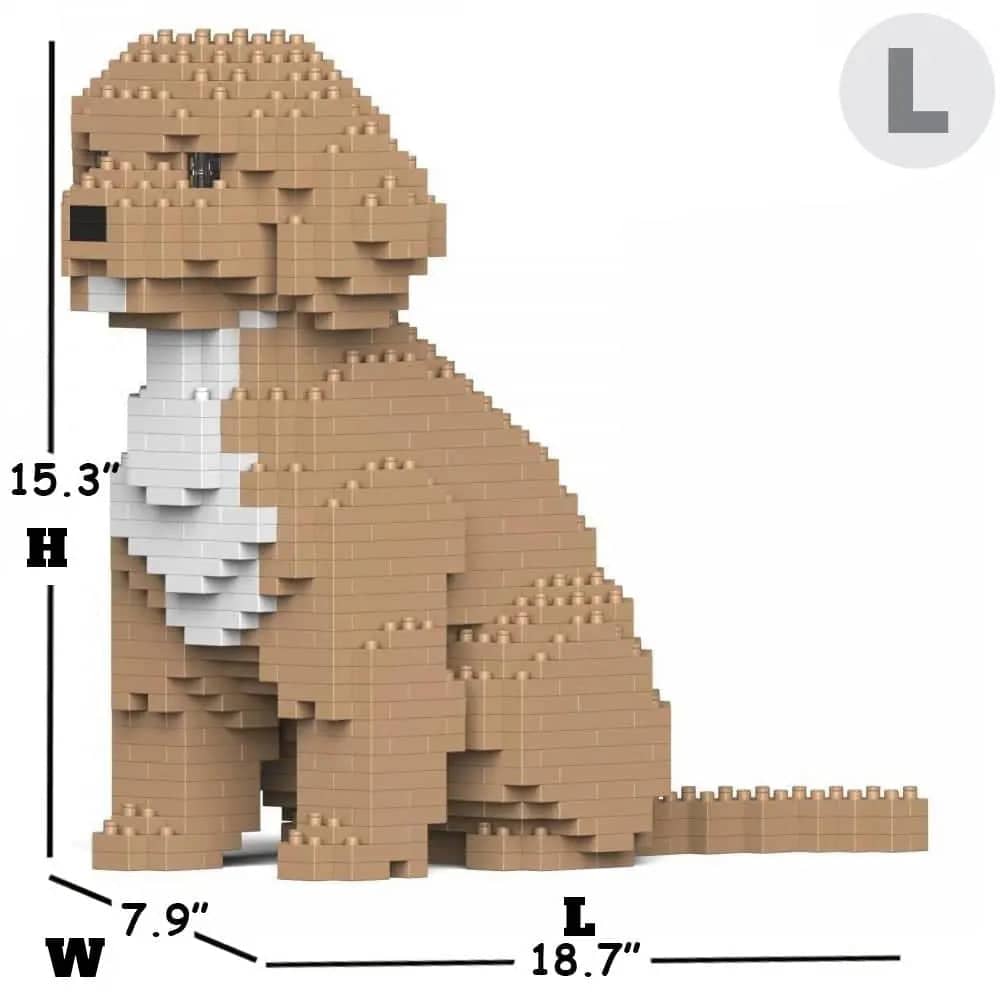 Cockapoo