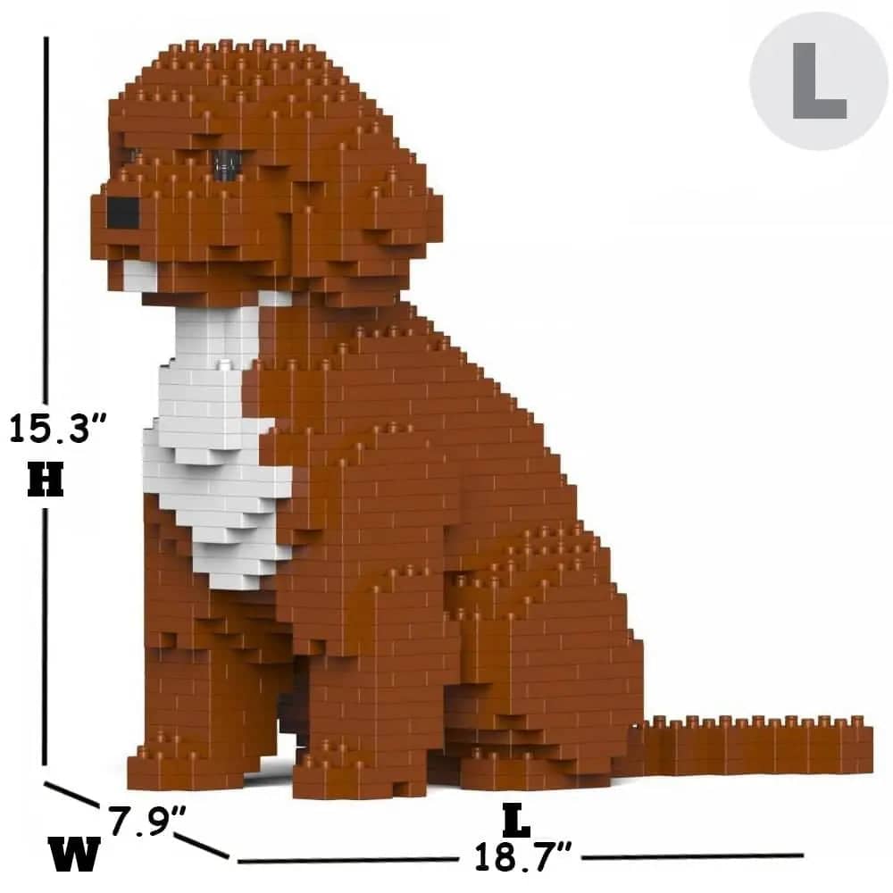 Cockapoo