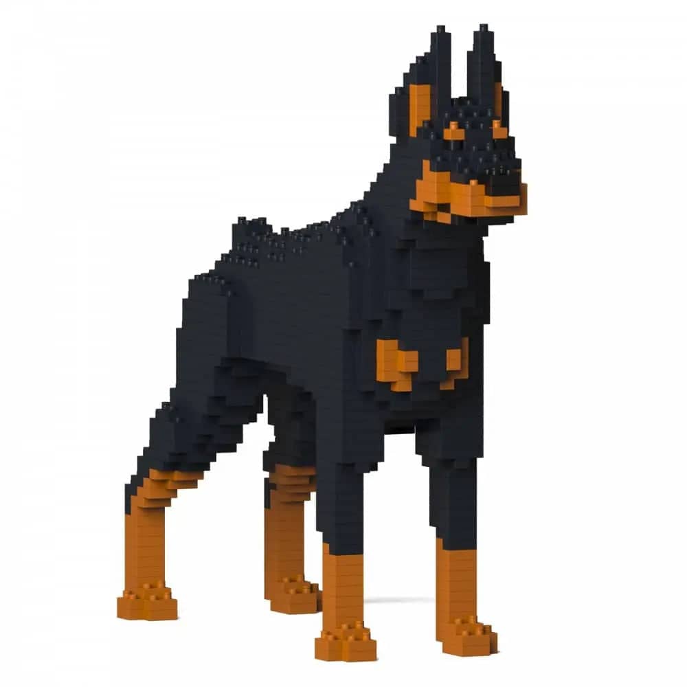 Doberman Pinscher