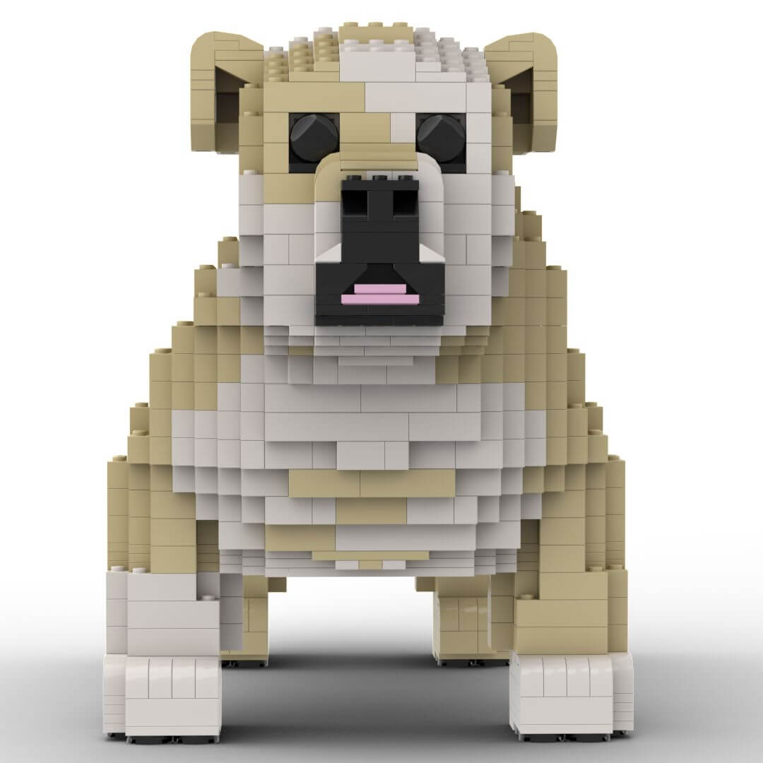 Engelse Bulldog staand