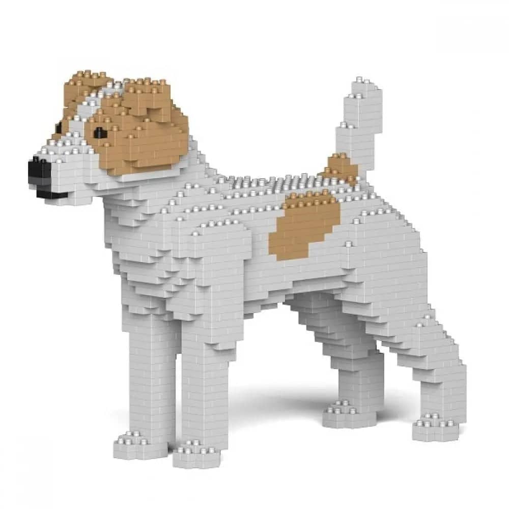 Jack Russell Terrier