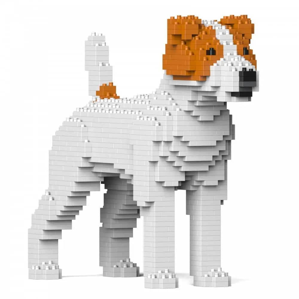 Jack Russell Terrier