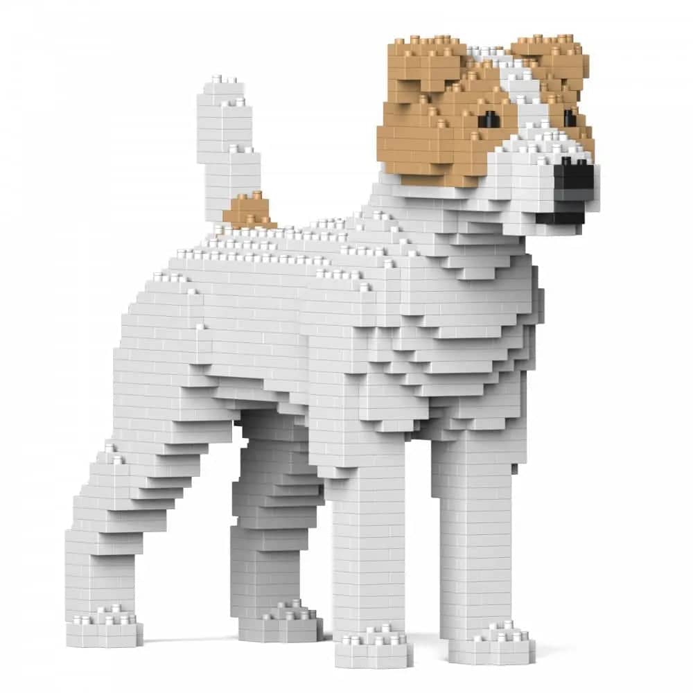 Jack Russell Terrier