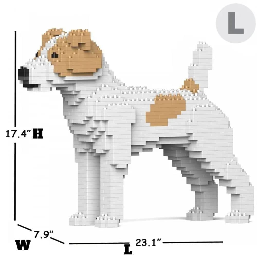 Jack Russell Terrier