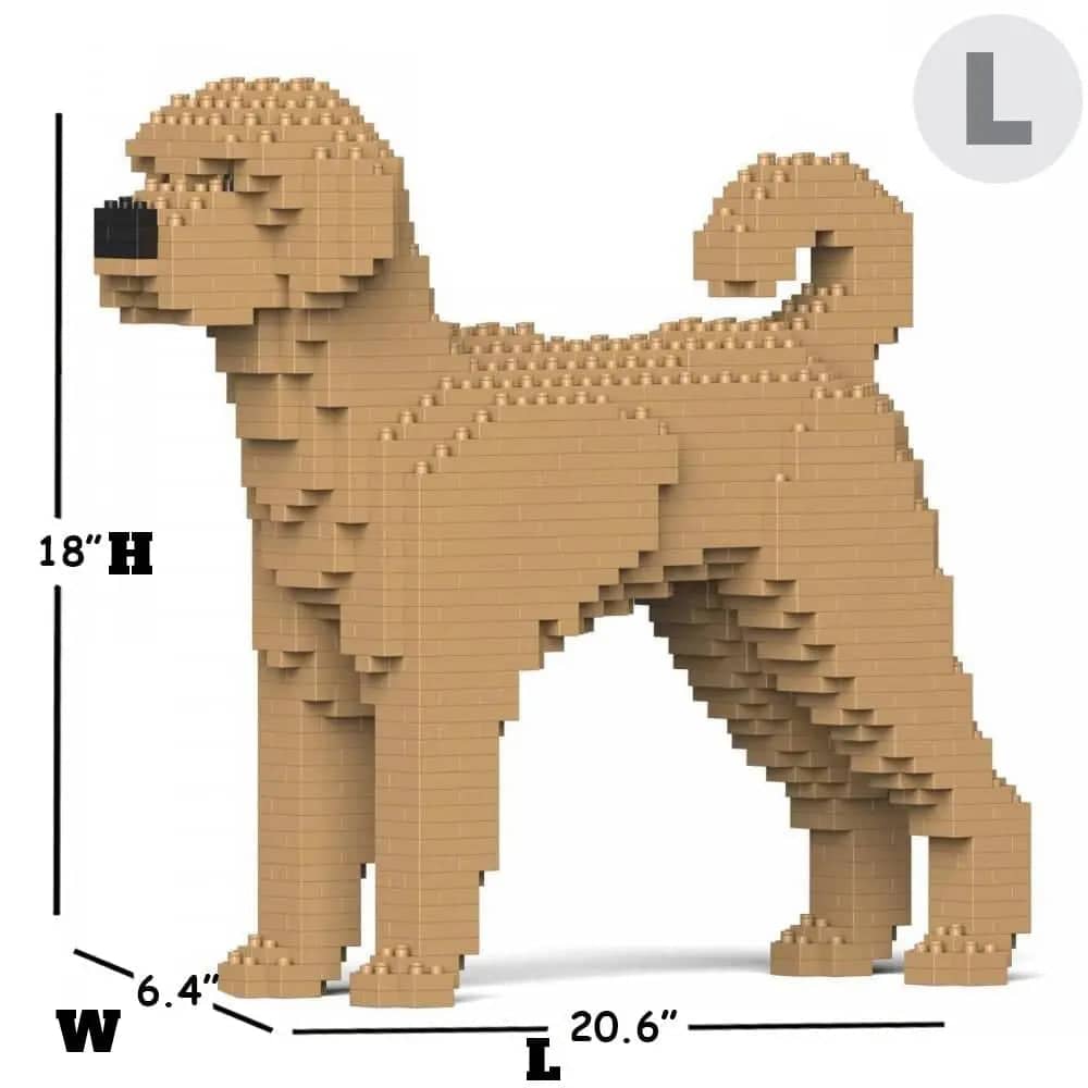 Labradoodle