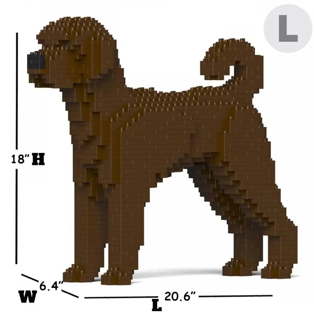 Labradoodle