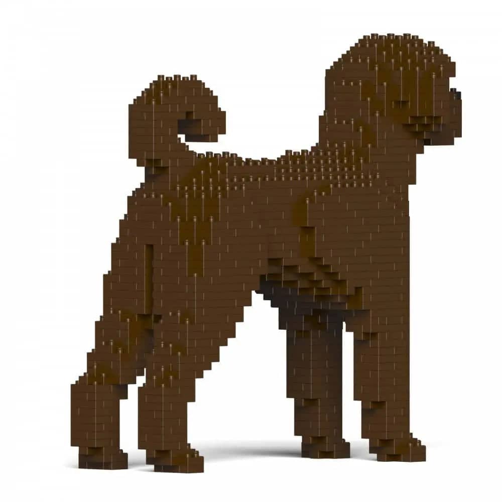 Labradoodle