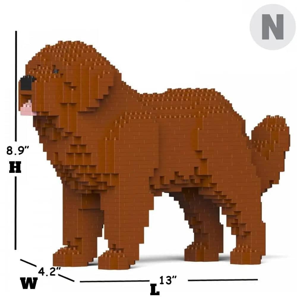 Newfoundland hond