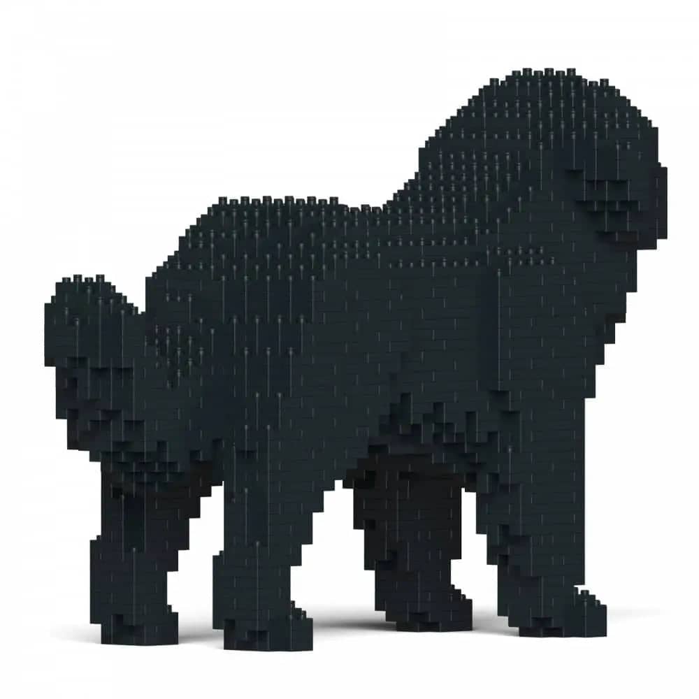 Newfoundland hond