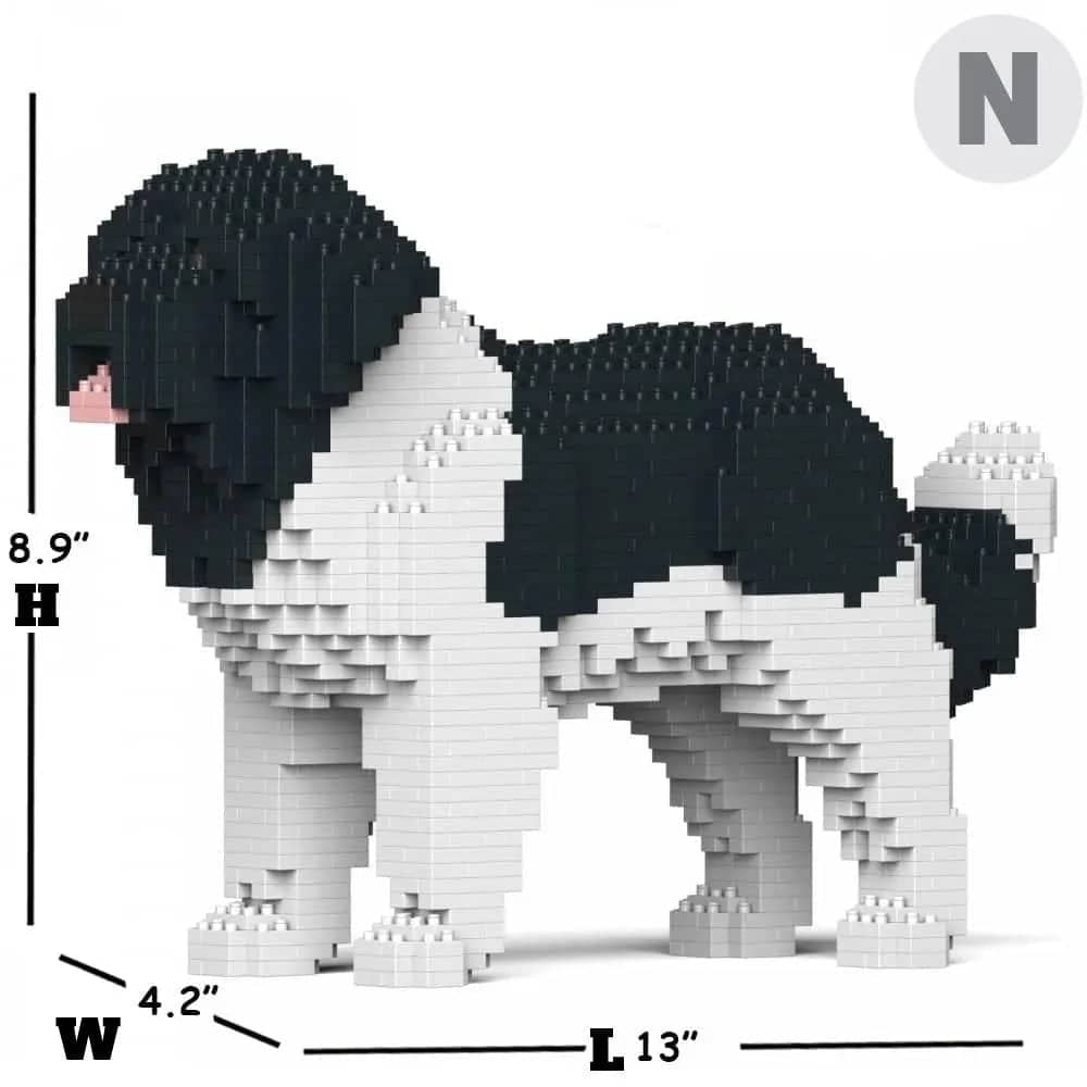 Newfoundland hond