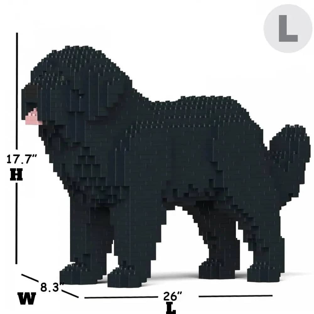 Newfoundland hond