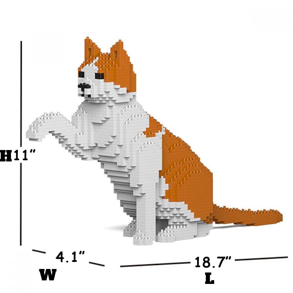 Oranje &amp; Witte Kat