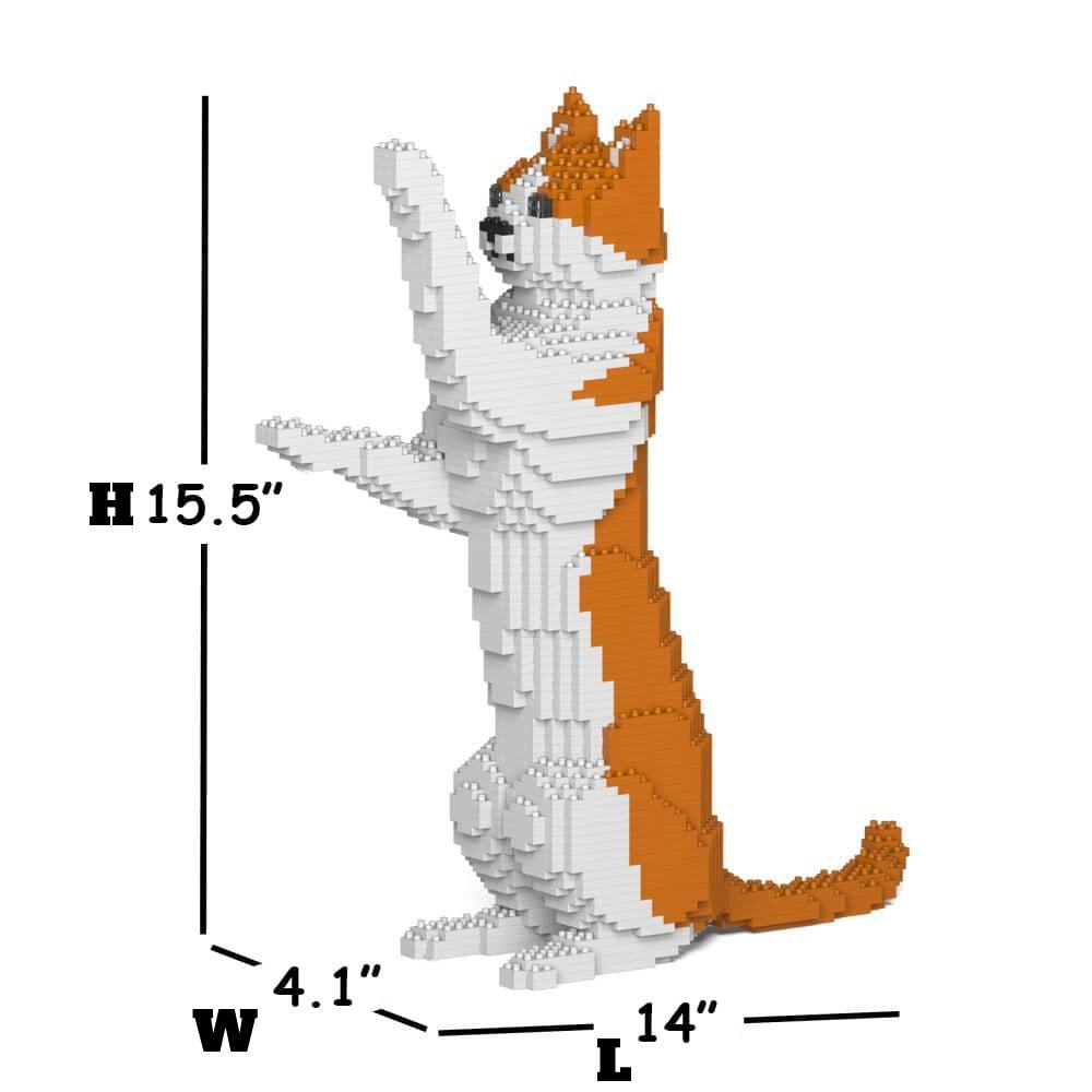 Oranje &amp; Witte Kat