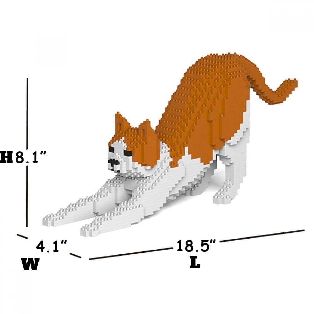 Oranje &amp; Witte Kat