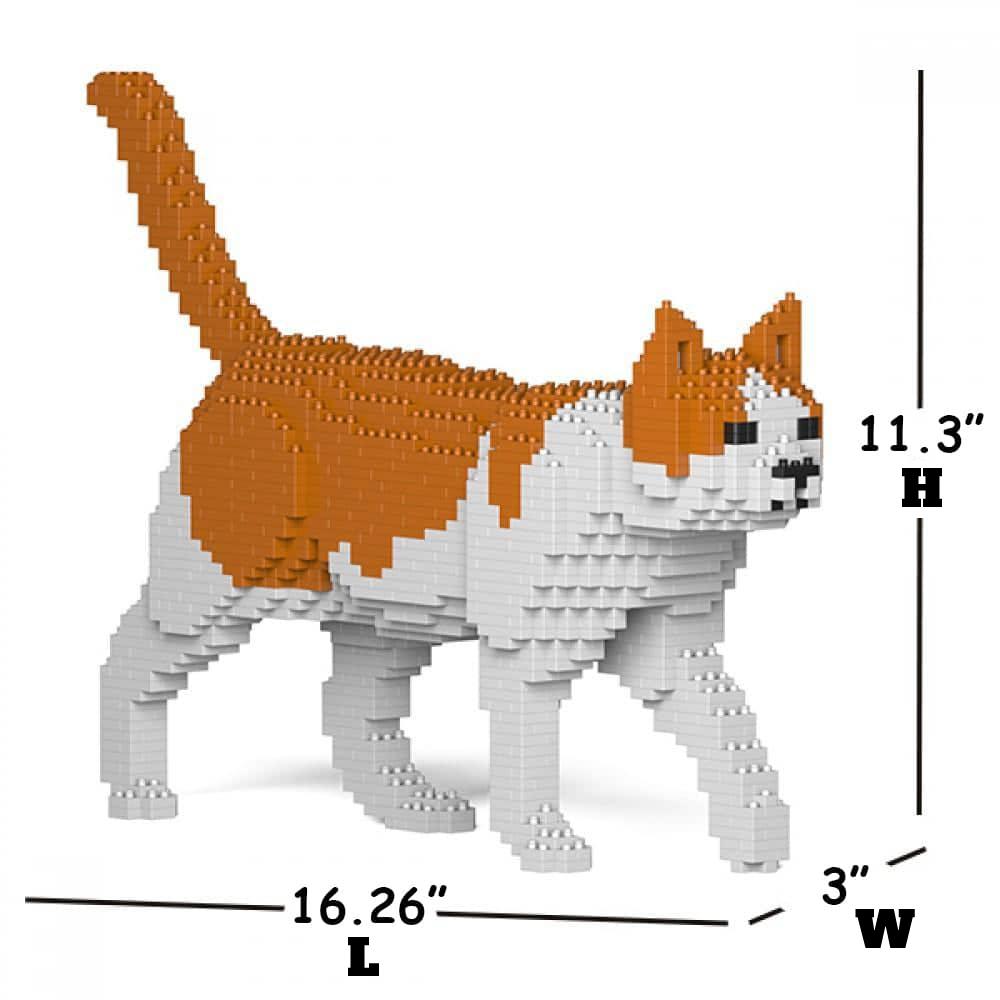 Oranje &amp; Witte Kat