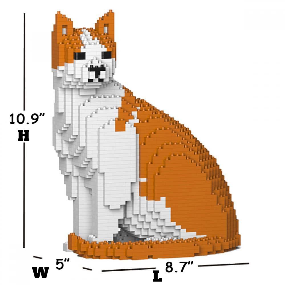 Oranje &amp; Witte Kat